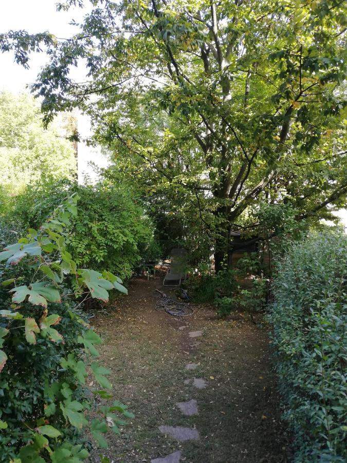 Room in maisonette with garden, parking place Wenen Buitenkant foto
